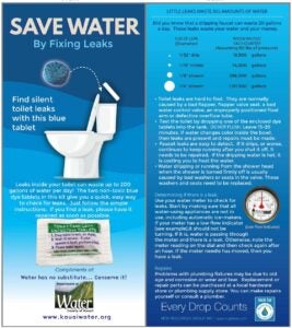 Leak detection tablets are available at the Kauaʻi Department of Water.